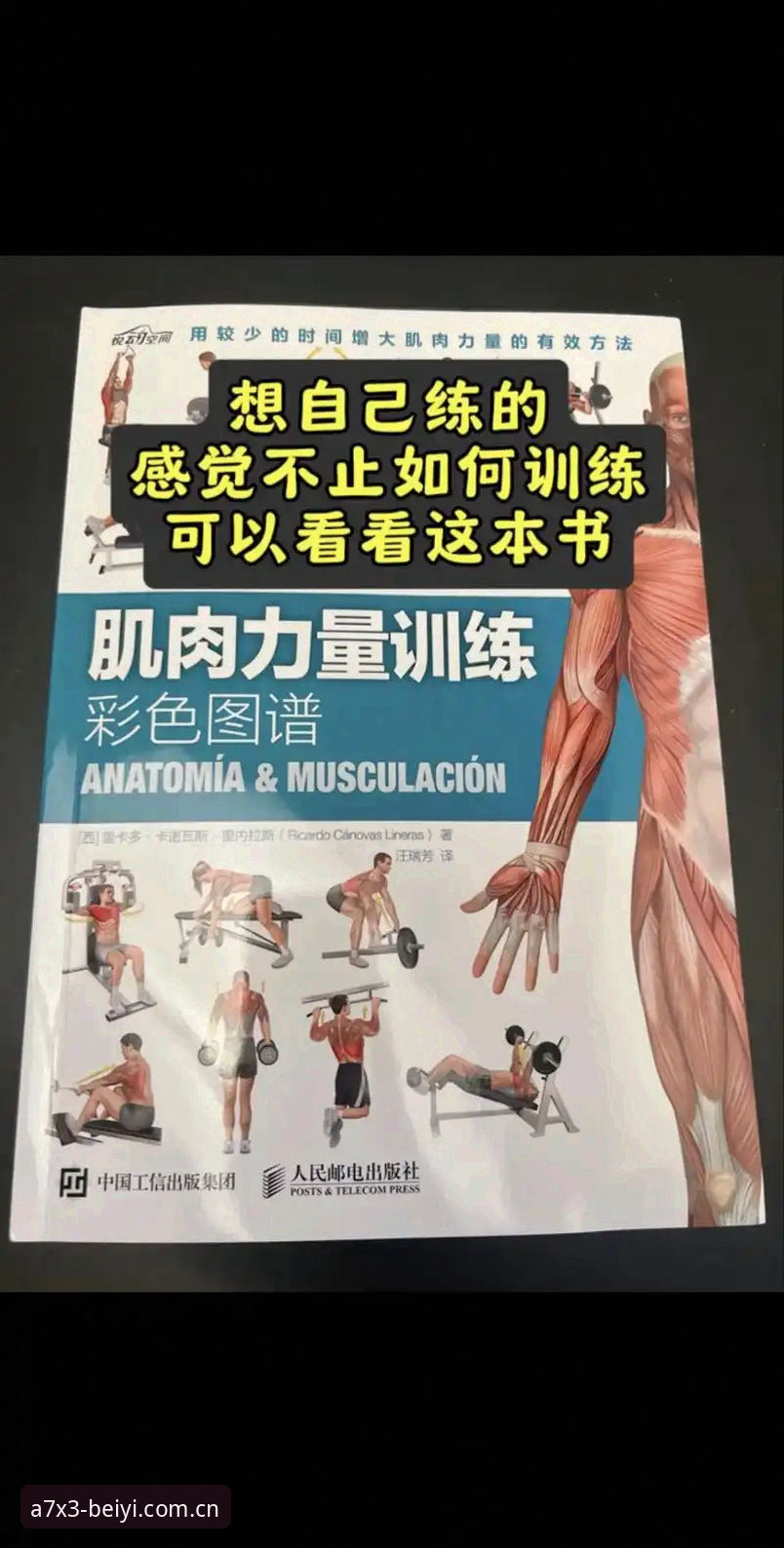 必一官网推荐 必一体育平台新手必看:从入门到精通的完整使用指南
